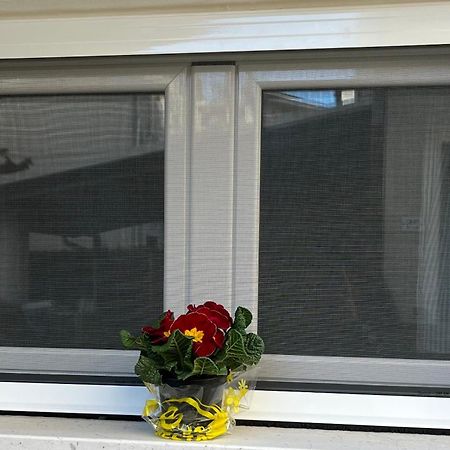 Bouganville Casa Vacanza Ambiente Climatizzato Con Wi Fi ピネート エクステリア 写真