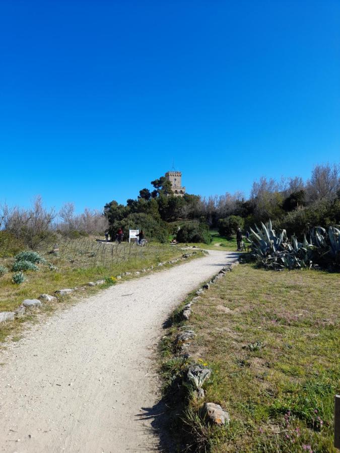 Bouganville Casa Vacanza Ambiente Climatizzato Con Wi Fi ピネート エクステリア 写真