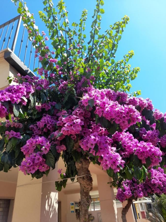 Bouganville Casa Vacanza Ambiente Climatizzato Con Wi Fi ピネート エクステリア 写真